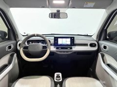 Geely Panda 210km Panda Kart - ფოტო 18