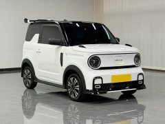Geely Panda 210km Panda Kart - ფოტო 2