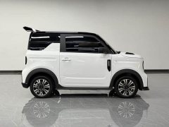 Geely Panda 210km Panda Kart - ფოტო 20