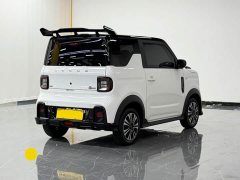 Geely Panda 210km Panda Kart - ფოტო 4