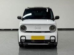 Geely Panda 210km Panda Kart - ფოტო 6
