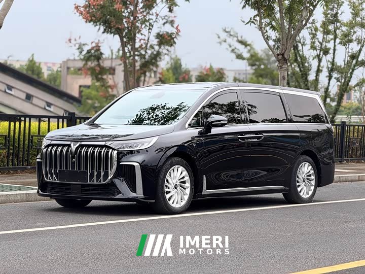 Voyah Lantu Dreamchaser Low Carbon Edition Family