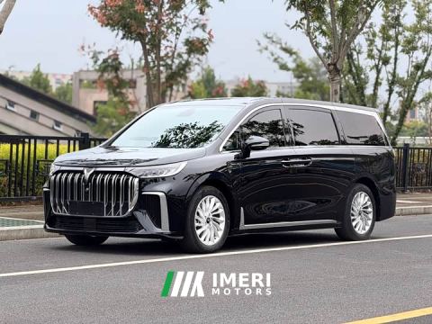 2023 Voyah Passion Low Carbon Edition Family