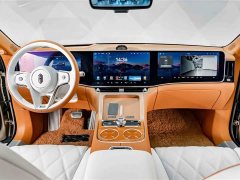 BYD Zun S800 Extended Range Starlight Executive Edition 4-Seater (192-line LiDAR) - ფოტო 13