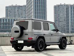 Mercedes-Benz G-Class 2021 G 400 d Australia Edition - ფოტო 7