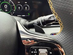 Trumpchi Leopard 270T DCT J16 - ფოტო 17