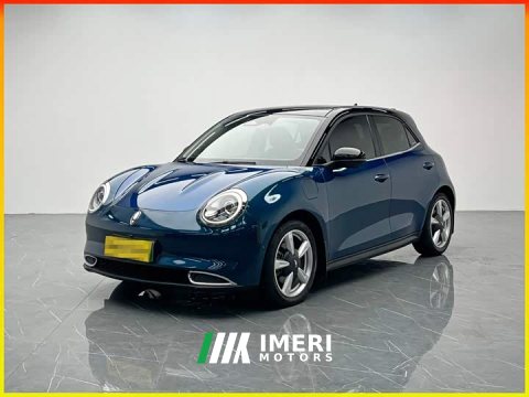 2021 ORA Good Cat 400km Standard Range Athena Edition LFP Battery - ავტომობილი ჩინეთიდან