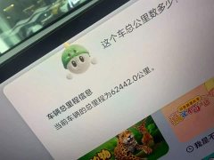 Li Auto L8 Pro - ფოტო 9