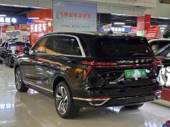 Great Wall WEY Blue Mountain Four-Wheel Drive Max - ფოტო 20