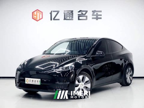 2021 Tesla Model Y Standard Range RWD - ავტომობილი ჩინეთიდან