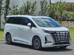 Denza BYD Denza D9 DM-i 980 Four-Wheel Drive Premium - ფოტო 13