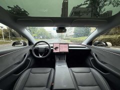 Tesla Model 3 Rear-Wheel Drive - ფოტო 16