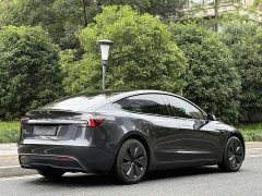 Tesla Model 3 Rear-Wheel Drive - ფოტო 6