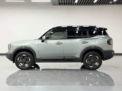 Jetour Jietu Liberator 2.0TD XWD Conquest - ფოტო 2