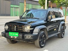 Tank 300 Off-Road Edition 2.0T Conqueror - ფოტო 1