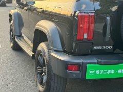 Tank 300 Off-Road Edition 2.0T Conqueror - ფოტო 11