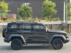 Tank 300 Off-Road Edition 2.0T Conqueror - ფოტო 12
