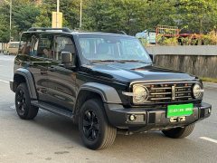 Tank 300 Off-Road Edition 2.0T Conqueror - ფოტო 3