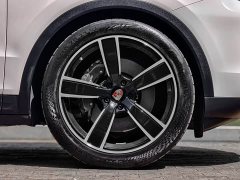 Porsche Cayenne 3.0T - ფოტო 11