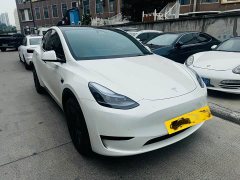 Tesla Model Y Rear-Wheel Drive - ფოტო 3