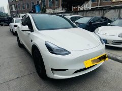 Tesla Model Y Rear-Wheel Drive - ფოტო 4