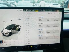 Tesla Model Y Rear-Wheel Drive - ფოტო 5