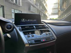 Lexus NX 2020 300h FWD Pinnacle Edition National VI - ფოტო 16