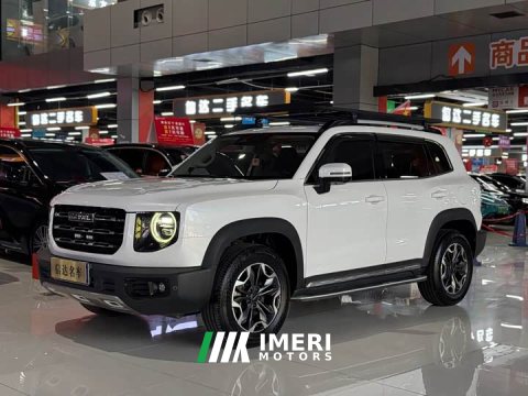 2022 Great Wall Dachshund 2021 2.0T DCT Four-Wheel Drive Chinese Rural Dog Edition - ავტომობილი ჩინეთიდან
