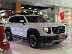 Great Wall Dachshund 2021 2.0T DCT Four-Wheel Drive Chinese Rural Dog Edition - ფოტო 3