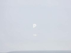 Li Auto L6 Pro Smart Refresh Edition - ფოტო 17