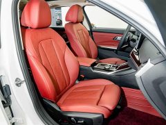 BMW 3 Series 320Li M Sport Package - ფოტო 19