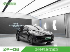 Tesla Model Y 2023 Rear-Wheel Drive - ფოტო 1