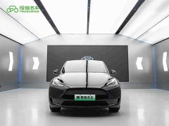 Tesla Model Y 2023 Rear-Wheel Drive - ფოტო 2