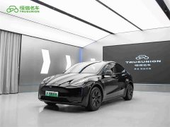 Tesla Model Y 2023 Rear-Wheel Drive - ფოტო 3