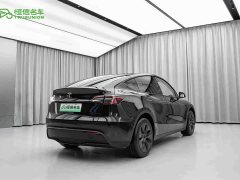 Tesla Model Y 2023 Rear-Wheel Drive - ფოტო 5