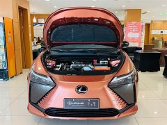 Lexus RZ 450e AWD Luxury Edition - ფოტო 8