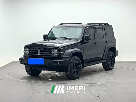 2021 Tank 300 Off-Road Edition 2.0T Challenger - ავტომობილი ჩინეთიდან