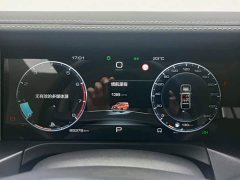 Tank 300 Off-Road Edition 2.0T Challenger - ფოტო 4