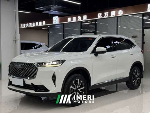 2022 Haval H6 Third Generation 1.5T Automatic Two-Wheel Drive Max - ავტომობილი ჩინეთიდან
