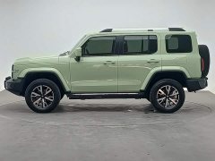 Tank 300 2021 City Edition 2.0T Stylish - ფოტო 2