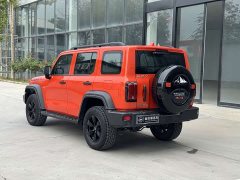 Tank 300 Off-Road Edition 2.0T Conqueror - ფოტო 16