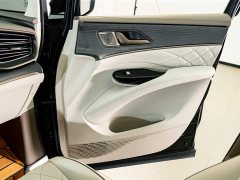 Denza D9 2022 DM-i 970 AWD Flagship - ფოტო 20