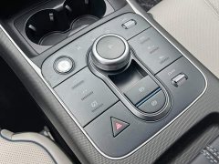 BYD Destroyer 05 Glory Edition DM-i 55KM Luxury - ფოტო 17