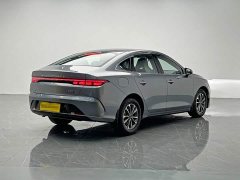 BYD Destroyer 05 Glory Edition DM-i 55KM Luxury - ფოტო 6