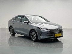 BYD Destroyer 05 Glory Edition DM-i 55KM Luxury - ფოტო 8