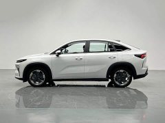 Geely Boyue REV 220km Long Range Platinum Extended Range Smart Luxury Edition - ფოტო 3
