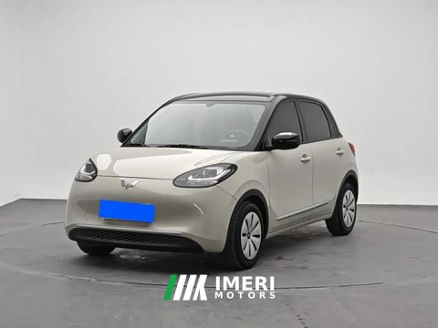 2023 Wuling Binguo 203km Light Enjoy Edition - ავტომობილი ჩინეთიდან