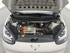 Wuling Binguo 203km Light Enjoy Edition - ფოტო 11