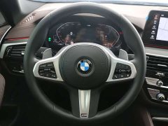BMW 5 Series Facelift 530Li Luxury M Sport Package - ფოტო 10