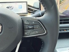 Geely Xingui Xingrui Oriental Radiance 1.5TD Kunlun Edition - ფოტო 19